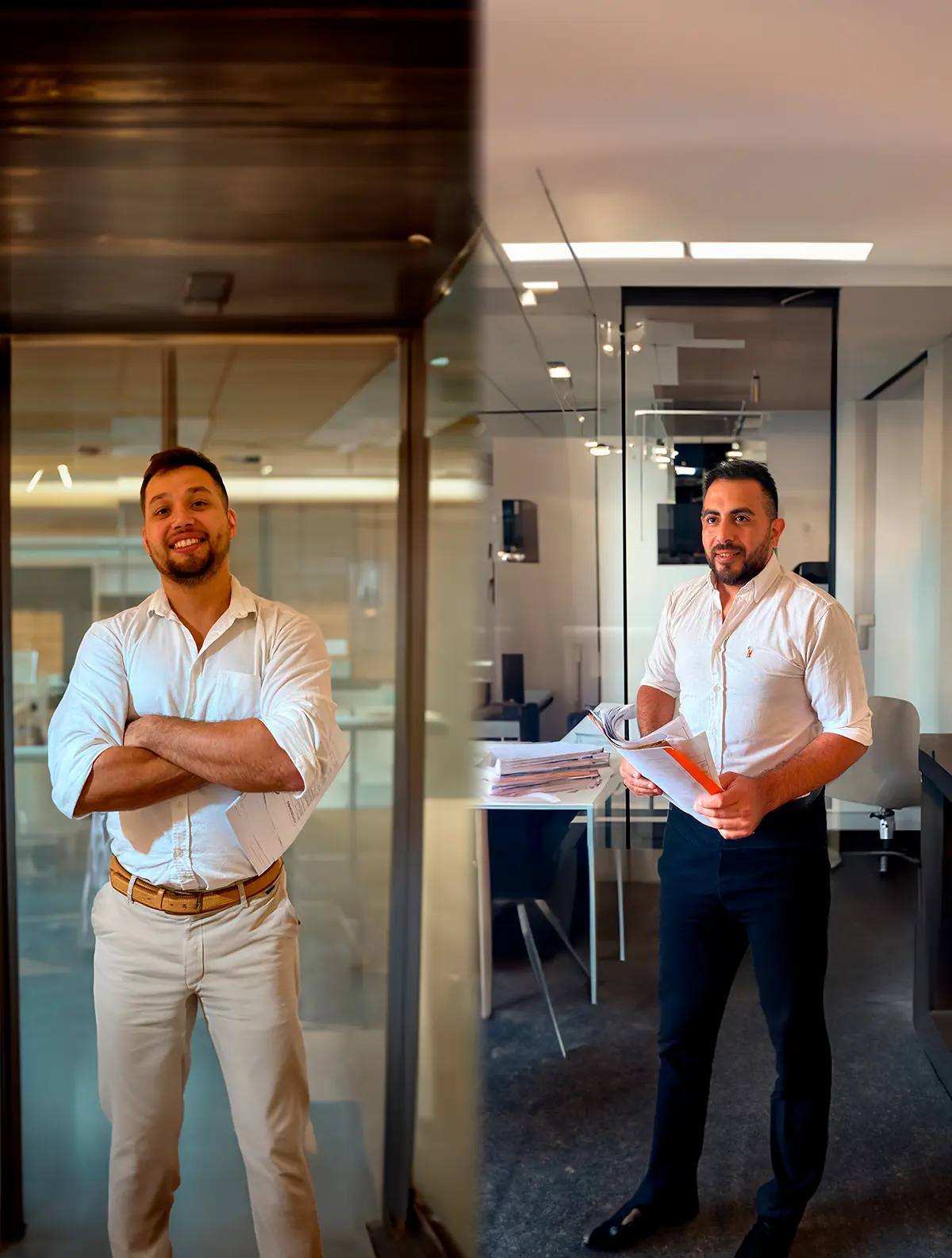 Descripción de la imagen